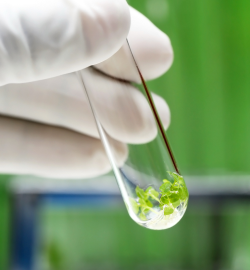 Research & Development